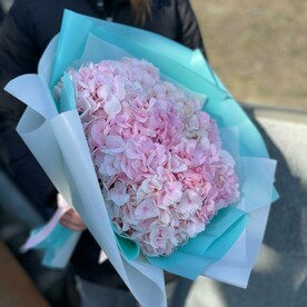 Гортензия, Пленка матовая