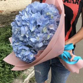 Гортензия, Пленка матовая