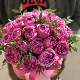Роза пионовидная кустовая Мисти Баблс, Фисташка пучок, Коробка бабочка, Оазис