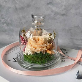 Роза стабилизированная, Нигелла, Лен сухоцвет пучок, Аспарагус стабилизированный пучок, Озотомнус стабилизированный пучок, Скелетированные листья, Мох стабилизированный пучок, Лимониум стабилизированный пучок, Стеклянная колба, Стильная упаковка, Инструкция по уходу