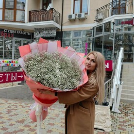 Облако белых гипсофил