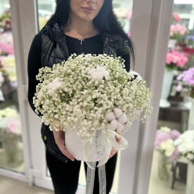 Гипсофила в коробке с хлопком