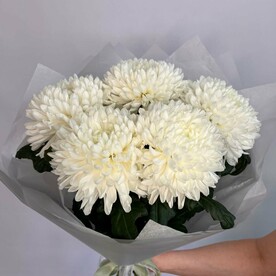 Букет из 5 одноголовых хризантем