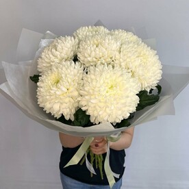 Букет из 7 белых одноголовых хризантем
