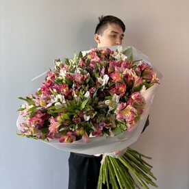 Букет из 75 ярких альстромерии в стильной упаковке (49-0013)