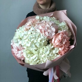 Микс нежных гортензий