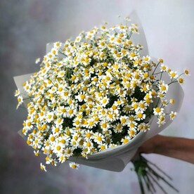 Ромашечки