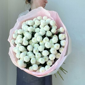 Хризантема кустовая, Пленка дизайнерская