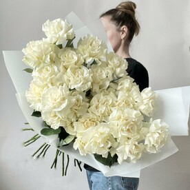 Роза французская
