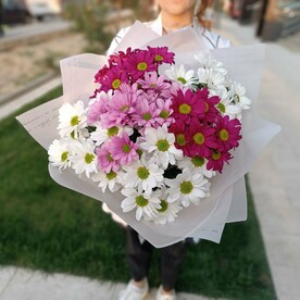 Хризантема кустовая, Дизайнерская упаковка