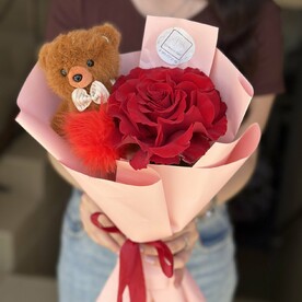Французская Роза с 🐻
