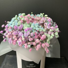Коробочка с гипсофилой