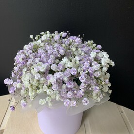Цветы в коробке