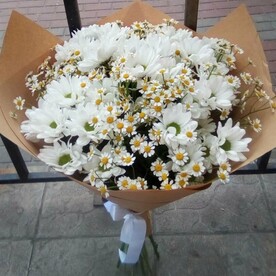 Хризантема кустовая, Танацетум, Дизайнерская упаковка