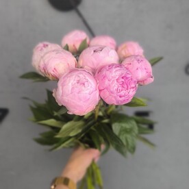 Букет 9 розовых пионов