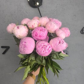 Букет 15 розовых пионов