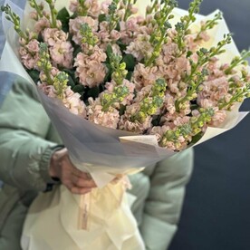 Букет из 29 персиковых маттиол 🧡🧡🧡