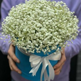 15 белых гипсофил в коробке