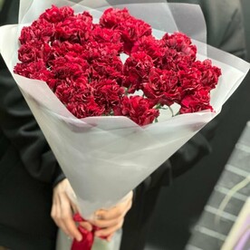 Букет из 25 бордовых гвоздик