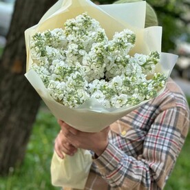 Букет из 19 белых маттиол