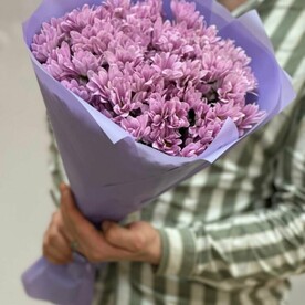 Хризантема кустовая шт, Стильная упаковка шт, шт