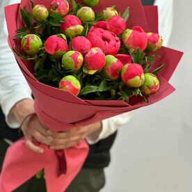 Букет из 19 коралловых пионов Корал Шарм