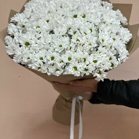 Букет из 15 белых кустовых хризантем в крафте