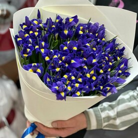 Букет из 49 синих ирисов 💙