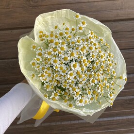 Ромашки
