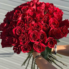 51 красная роза Эквадор🌹