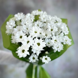 Букет из белых кустовых хризантем Бакарди