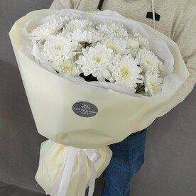 Облако хризантем алтай