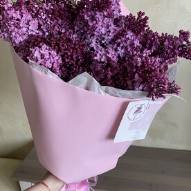 Сирень сортовая