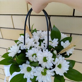Дары Природы