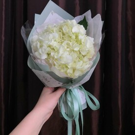 Белая гортензия