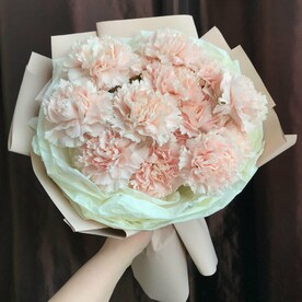Нежные диантусы