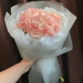 Розовая гортензия в упаковке