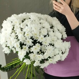 19 веток кустовой хризантемы
