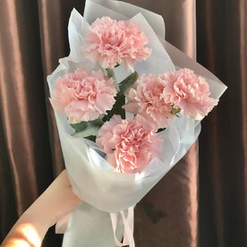 Розовые диантусы