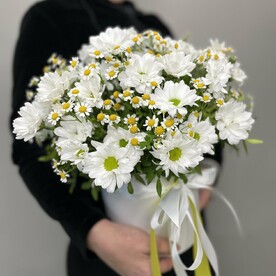 Коробка XL с ромашковыми хризантемами и матрикарией