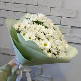 Хризантемы кустовые 7 шт