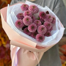 Хризантема кустовая, Сумочка