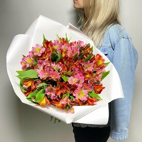 Букет из 19 красных и розовых альстромерий