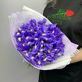 Пышный букет из 25 фиолетовых ирисов