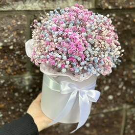 Гипсофилы в шляпной коробке