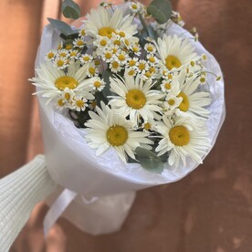 Букет ромашек