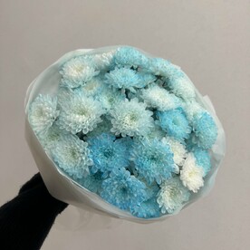 Букет голубых хризантем