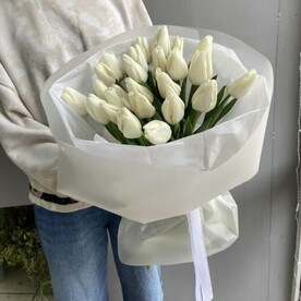 25 белых тюльпанов