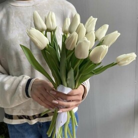 15 белых тюльпанов