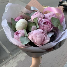 Пион, Тишью, Пленка